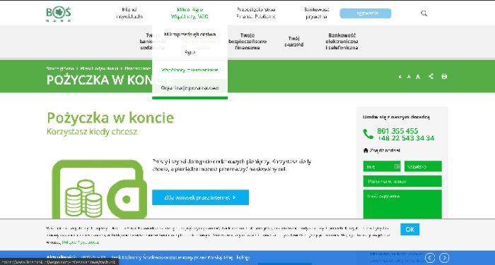 BOŚ Bank doświadczenia i dyskusja