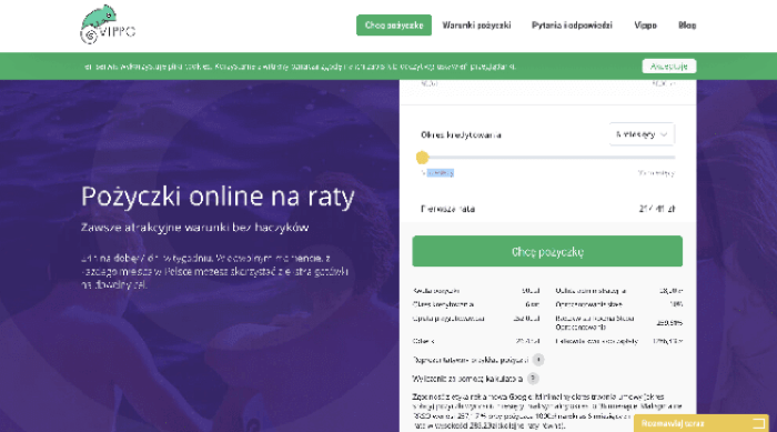 Vippo - Pożyczka do 5 000 zł