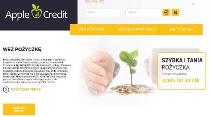 AppleCredit – strona wniosku