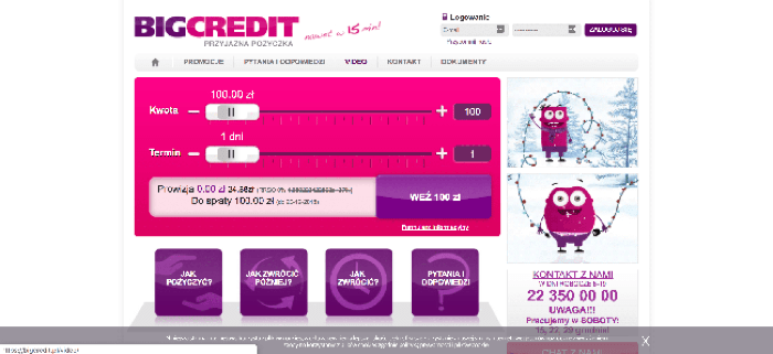 BIGcredit – strona wniosku