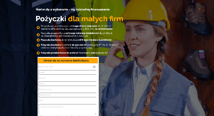Bizneskasa – strona wniosku