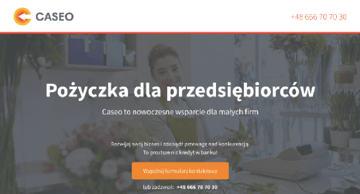 Caseo – strona wniosku