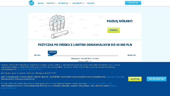 Euroloan – strona wniosku