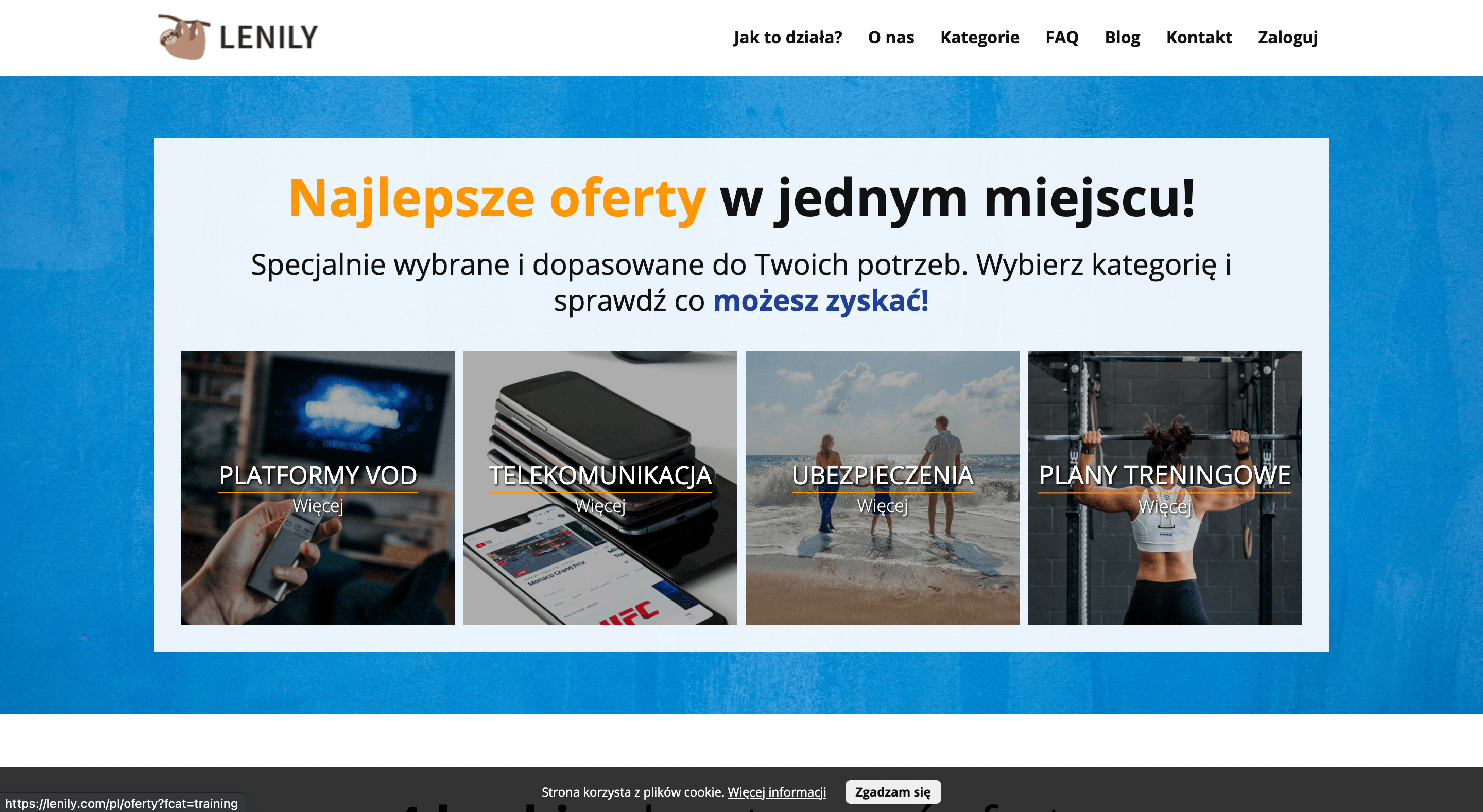 Lenily doświadczenia i dyskusja