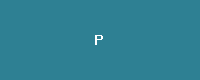 Plus Bank logo